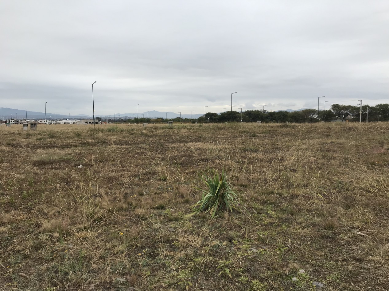 VENTA TERRENO VIA AURELIA