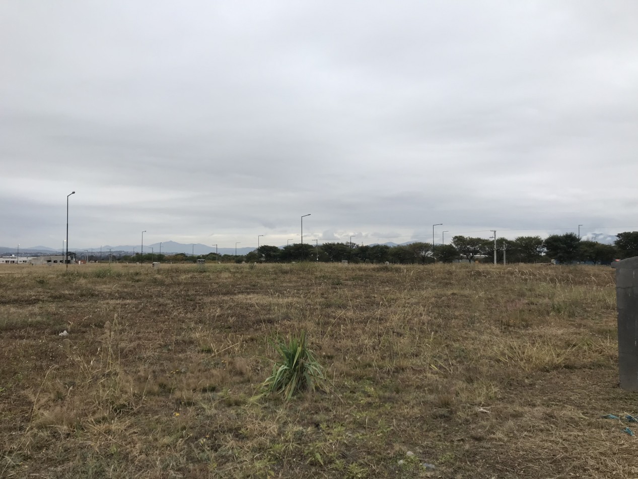 VENTA TERRENO VIA AURELIA