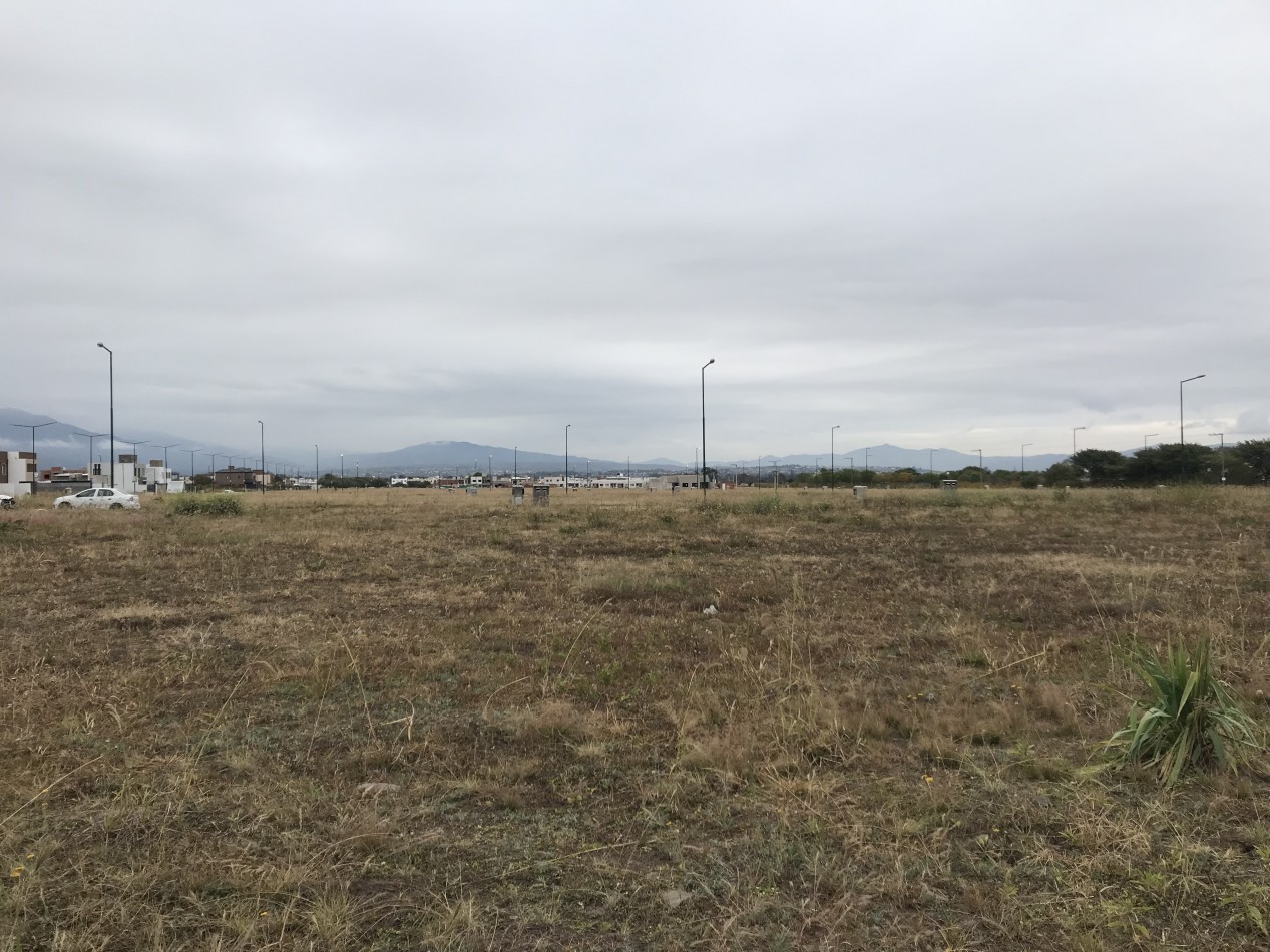 VENTA TERRENO VIA AURELIA