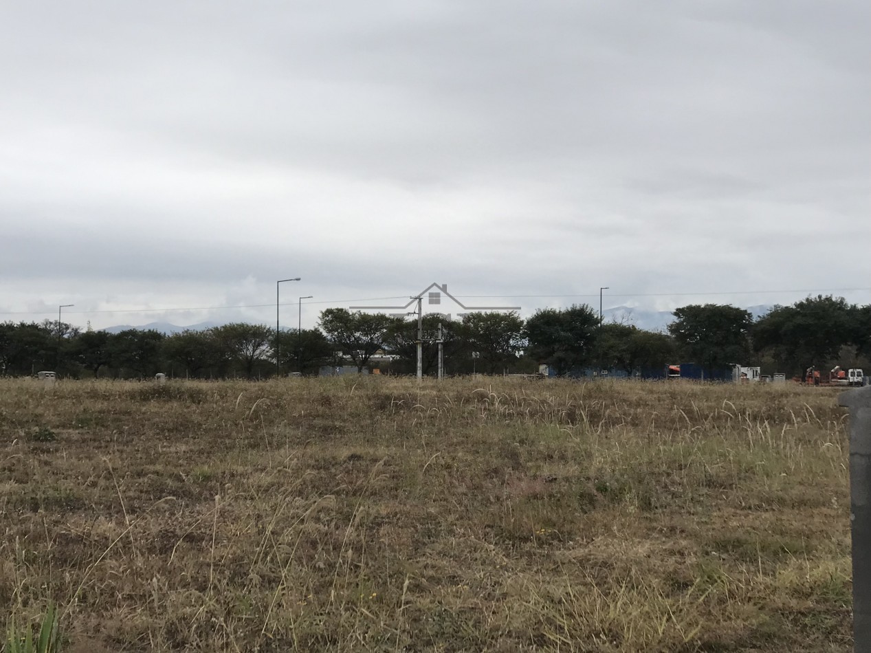 VENTA TERRENO VIA AURELIA