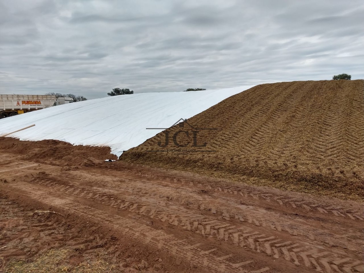 VENTA FINCA, RIVADAVIA, SALTA