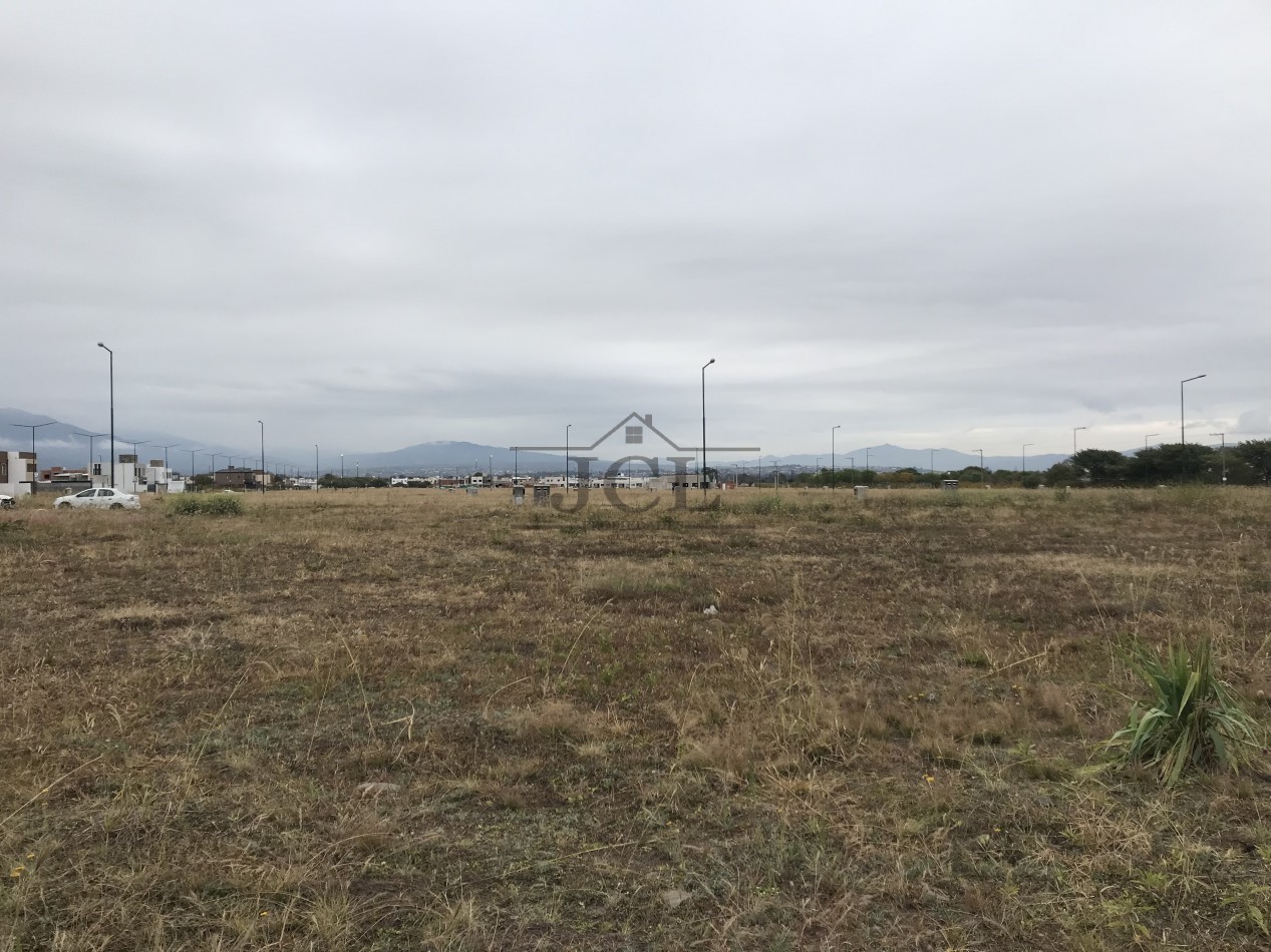 VENTA TERRENO VIA AURELIA