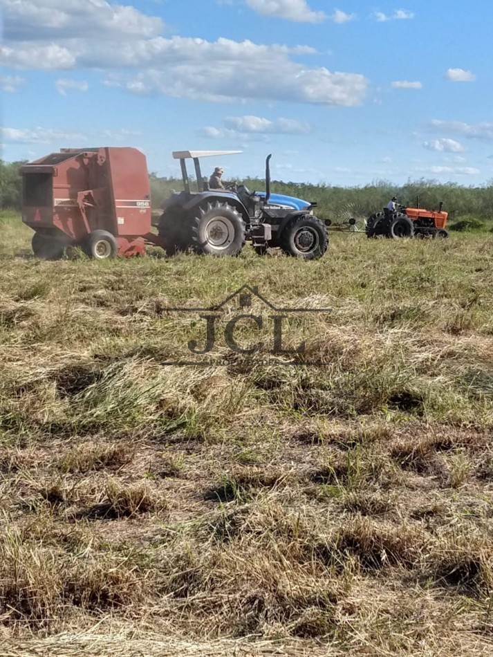VENTA FINCA, RIVADAVIA, SALTA