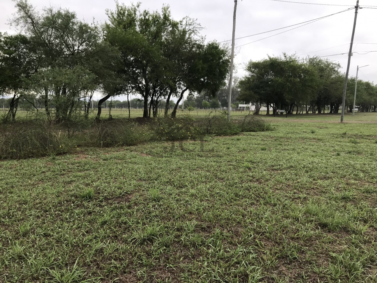 VENTA TERRENO B° PRIVADO LOS OLMOS