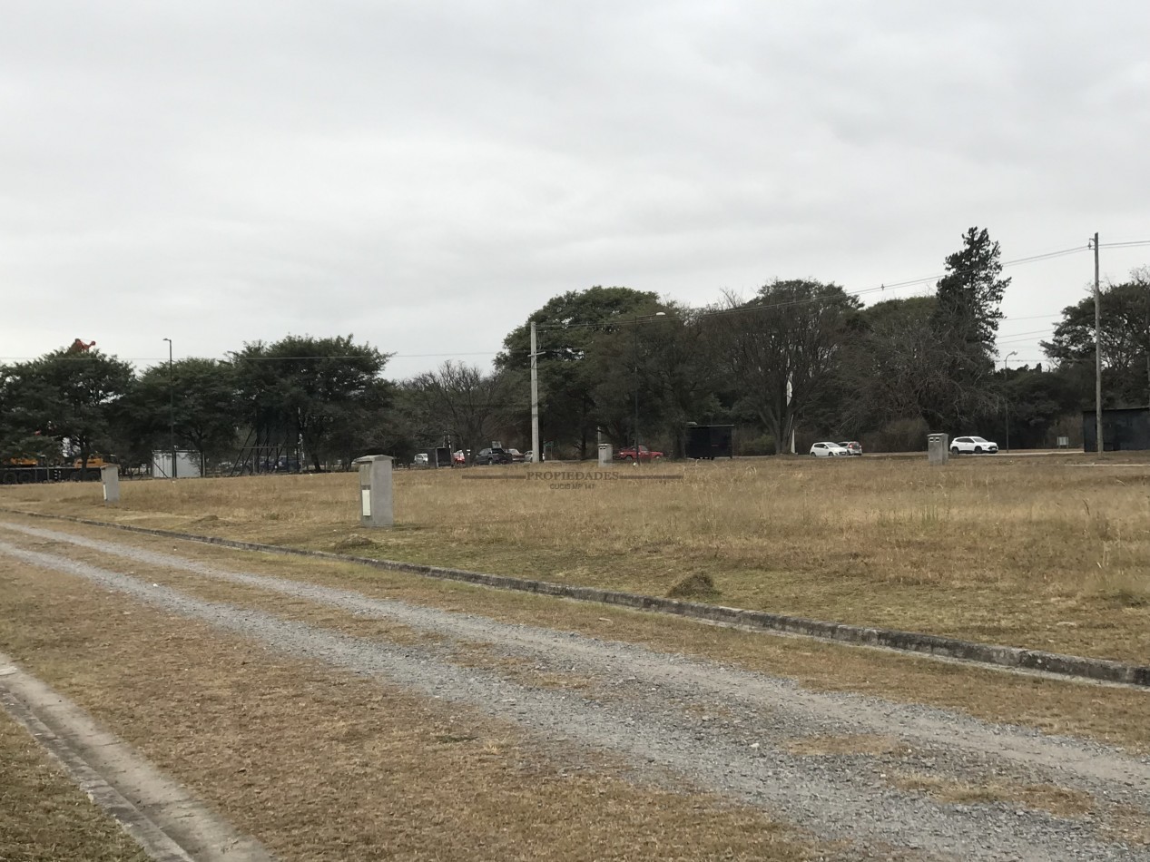 VENTA TERRENO VIA AURELIA