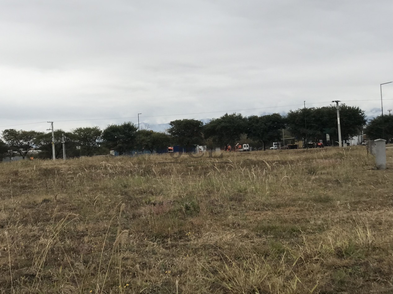 VENTA TERRENO VIA AURELIA