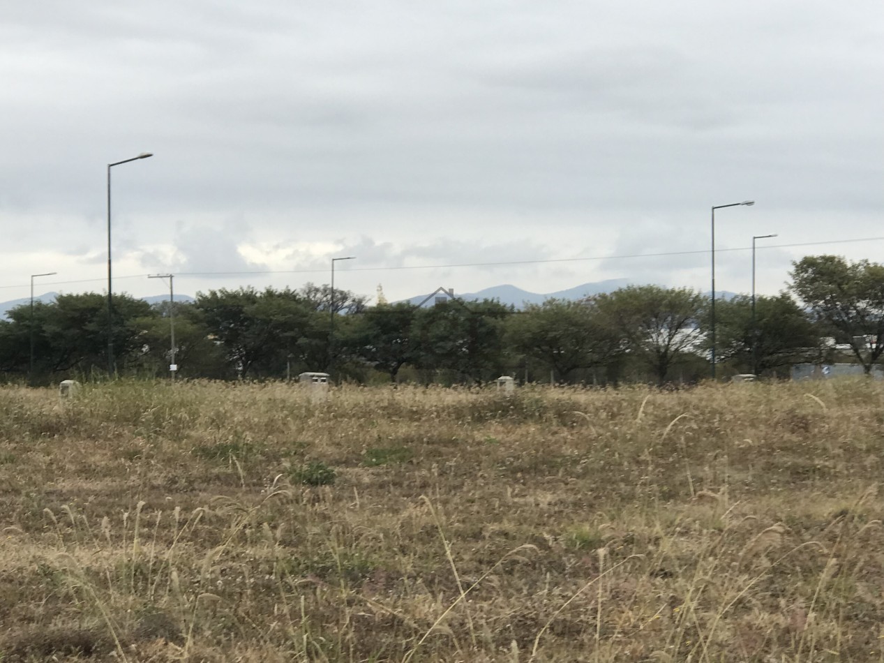 VENTA TERRENO VIA AURELIA