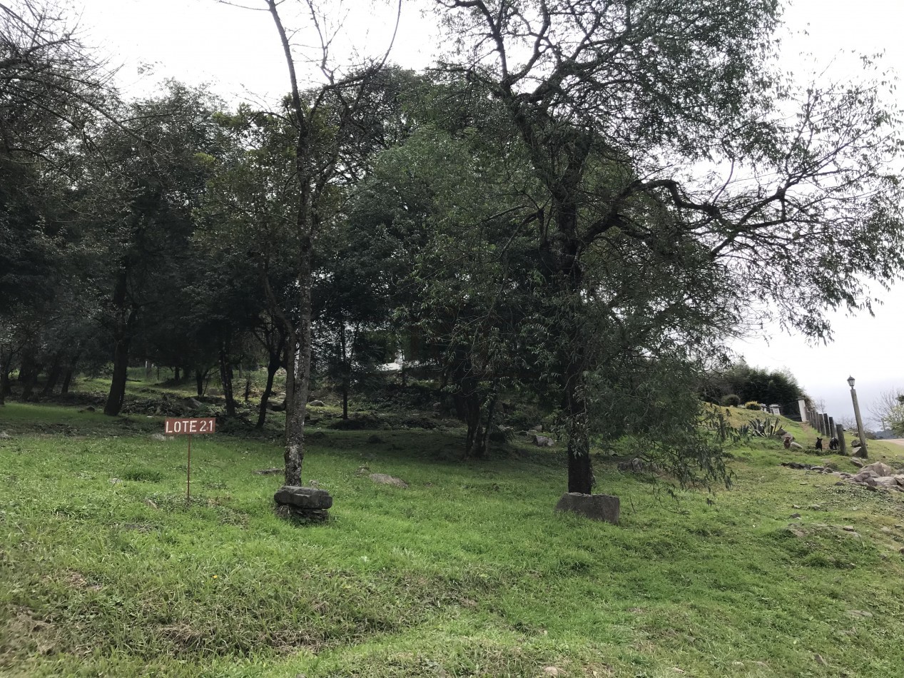 VENTA TERRENO LA HOYADA DE CASTELLANOS