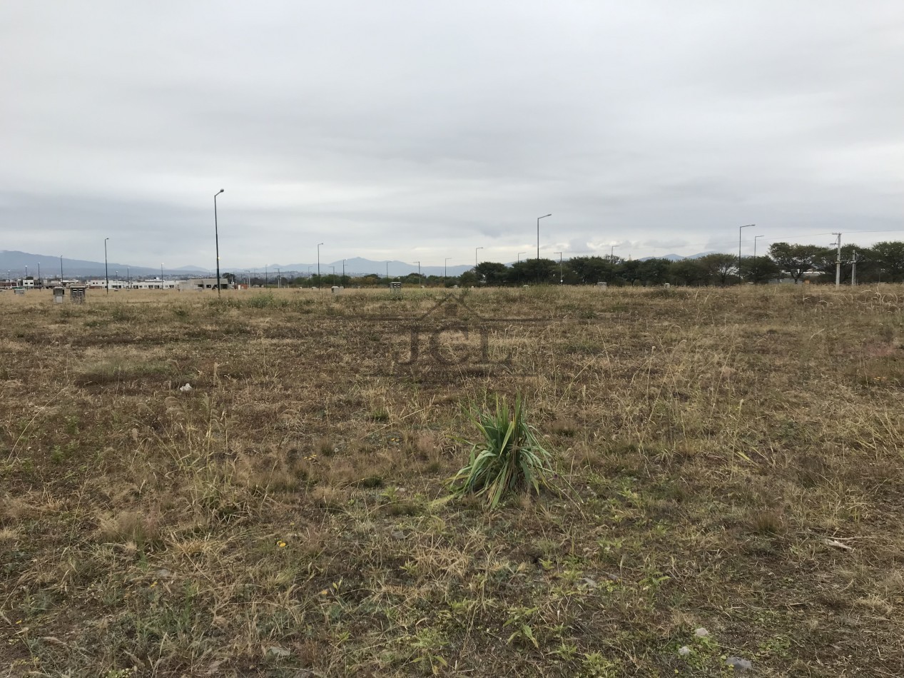 VENTA TERRENO VIA AURELIA