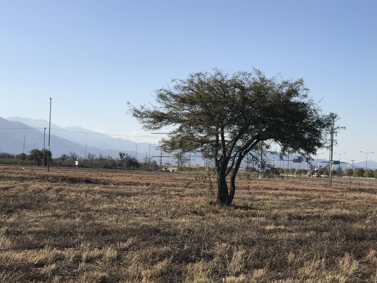 VENTA TERRENO EKO DISTRITO