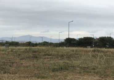 VENTA TERRENO VIA AURELIA