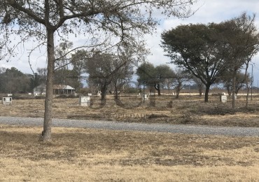 VENTA TERRENO  RECODO