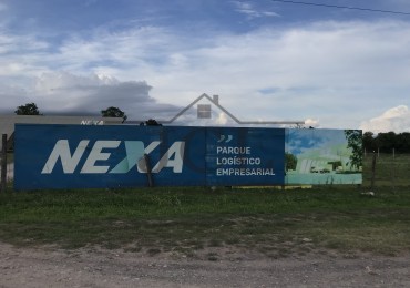 VENTA OFICINAS NEXA